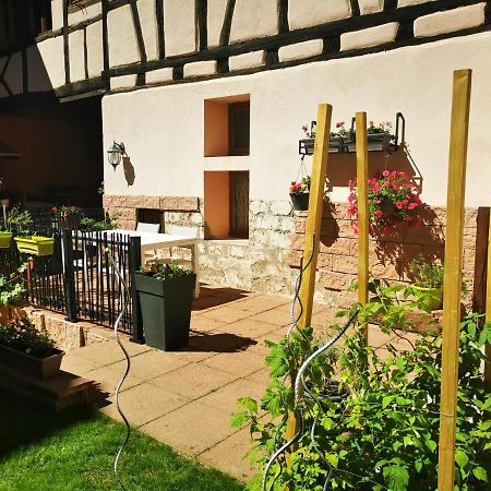 Le gite de Coco Riquewihr Extérieur photo