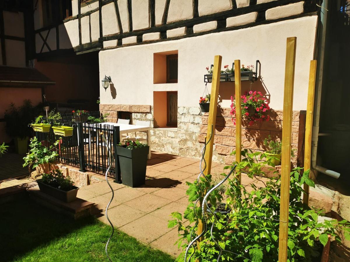Le gite de Coco Riquewihr Extérieur photo